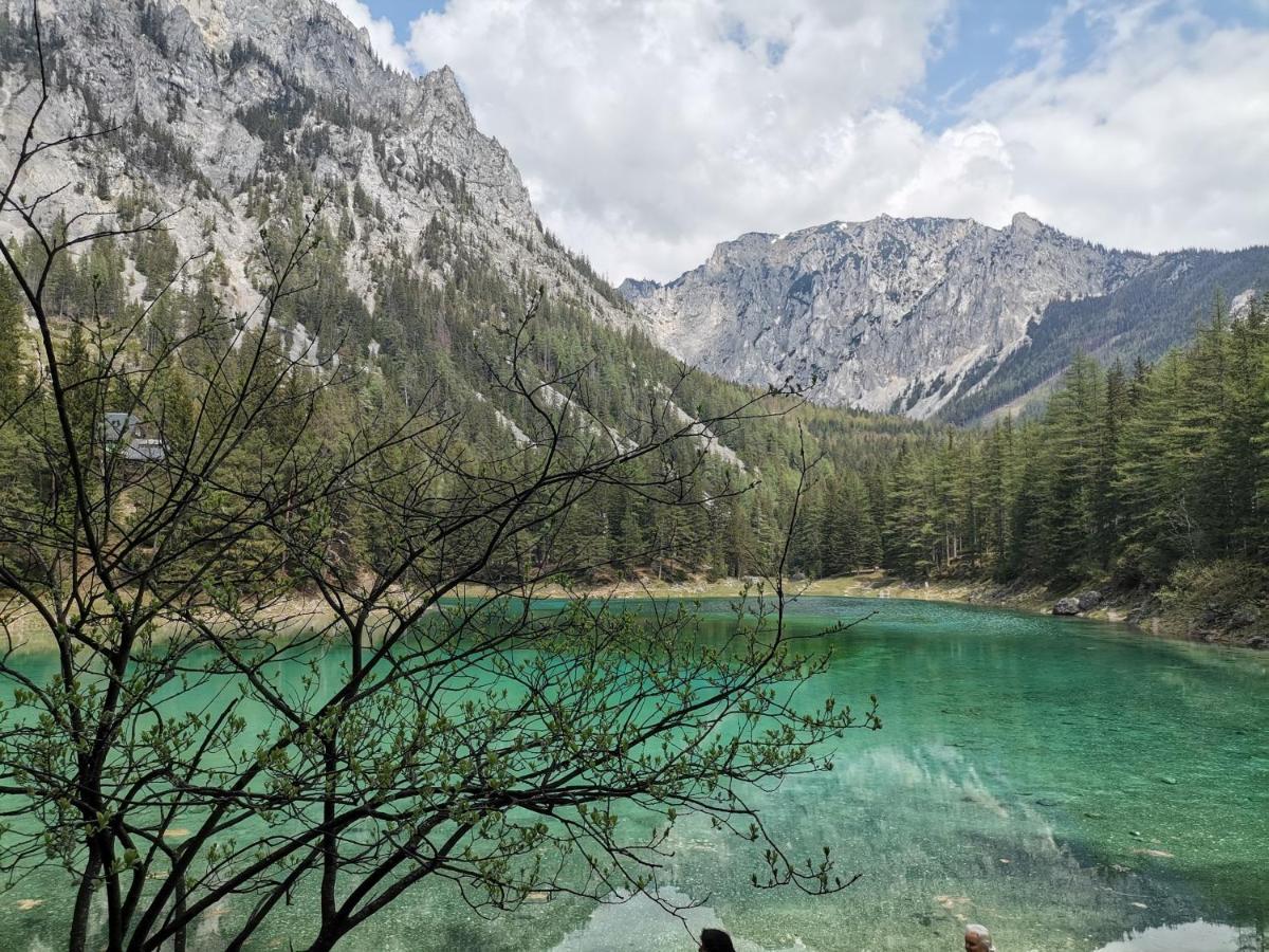 Haus Bergblick Fruehstueckspension Oberort Экстерьер фото