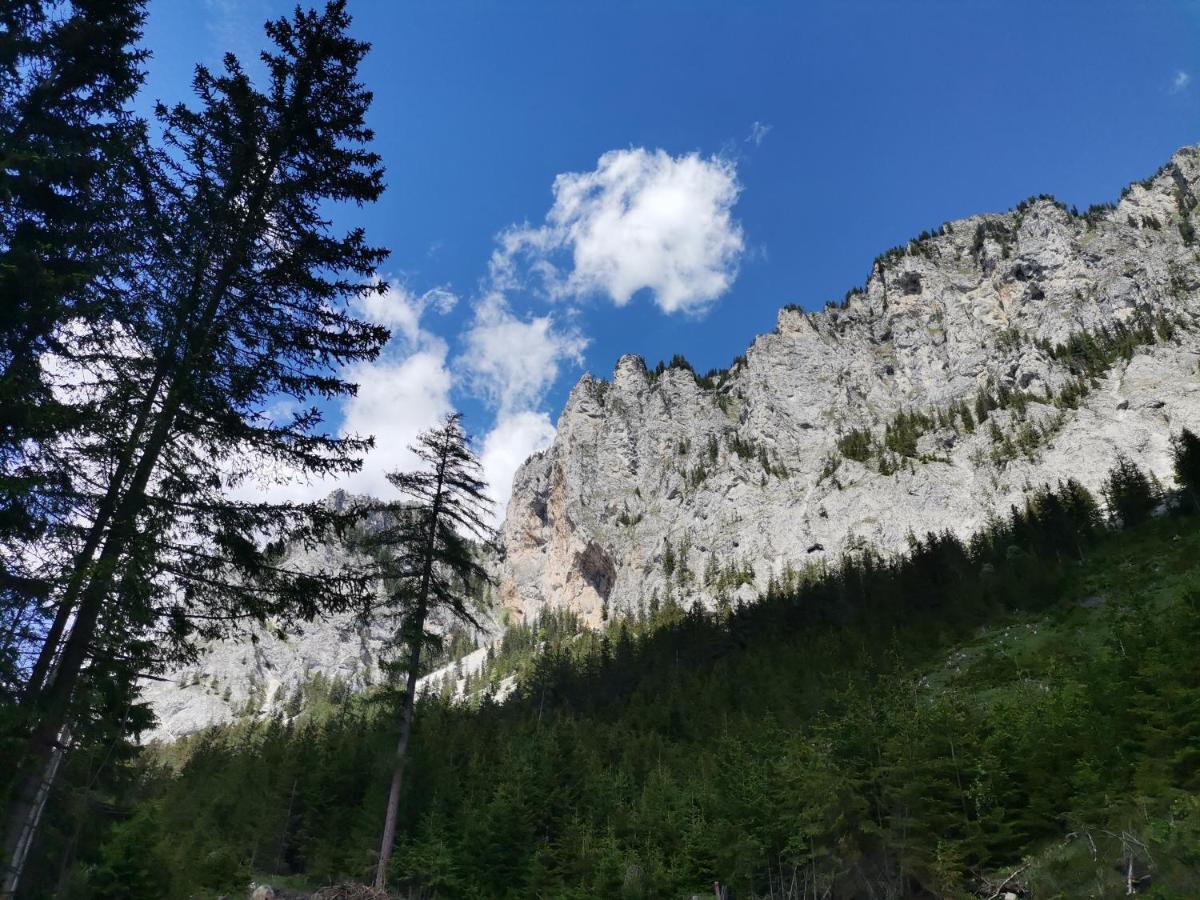 Haus Bergblick Fruehstueckspension Oberort Экстерьер фото