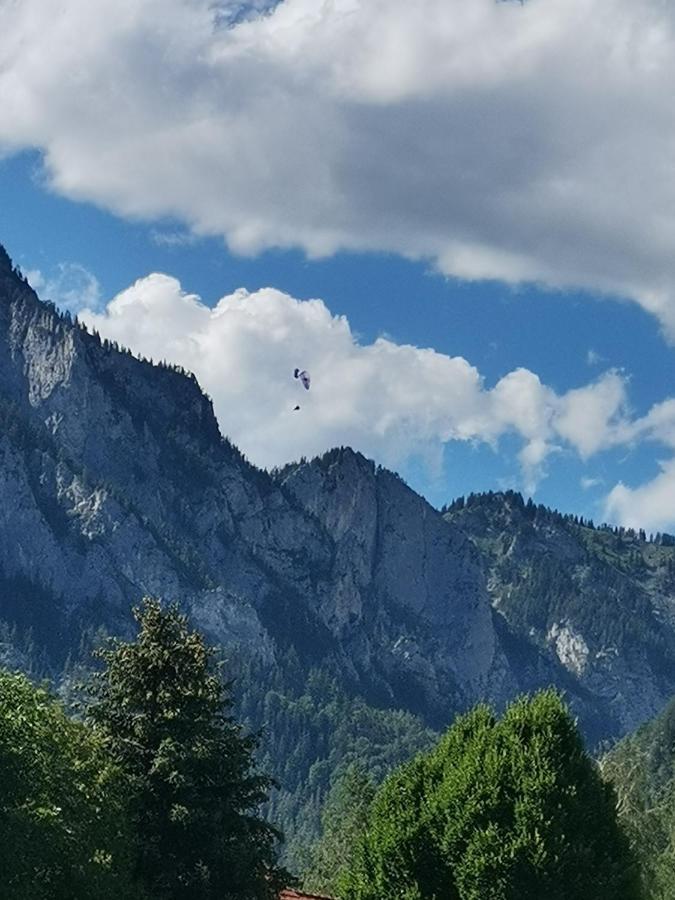 Haus Bergblick Fruehstueckspension Oberort Экстерьер фото