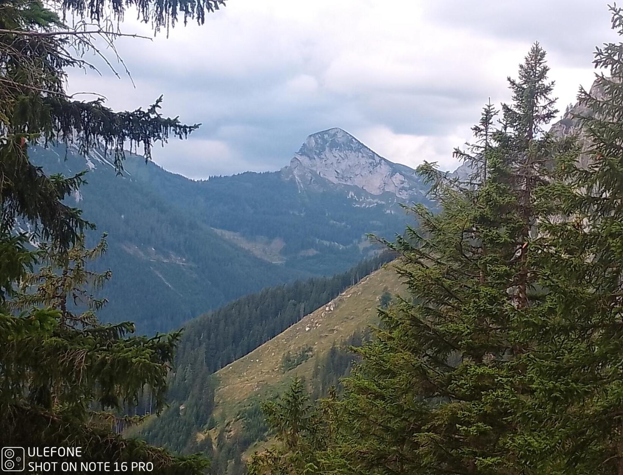 Haus Bergblick Fruehstueckspension Oberort Экстерьер фото